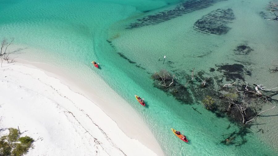 Fraser Island (K'gari): Remote Island and Whale Experience - Awinya or Bowarrady Creek for a quieter second stop