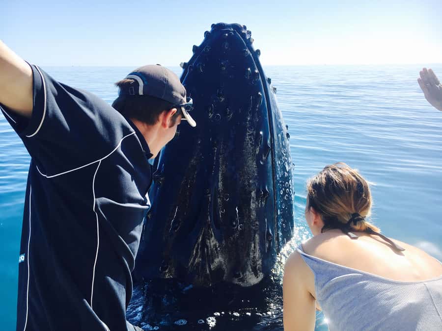 Fraser Island (K'gari): Remote Island and Whale Experience - Leaving Hervey Bay on the 20-meter catamaran