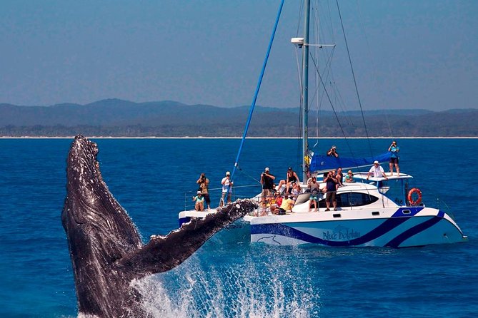 Fraser Island Whale Watch Encounter - Crossing to Platypus Bay and K’gari