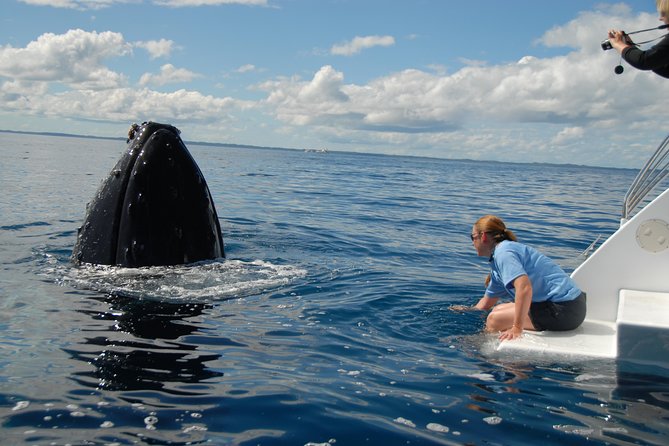 Fraser Island Whale Watch Encounter - Is the €115.44 price good value?
