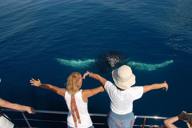 Fraser Island Whale Watch Encounter - Who should book this experience?