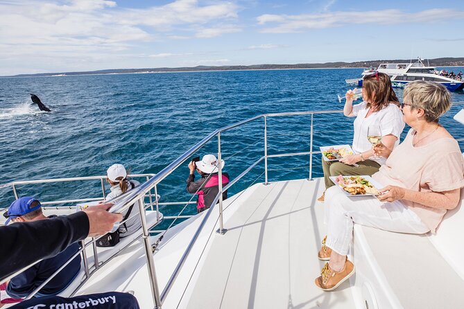 Freedom 3/4 Day Hervey Bay Premium Whale Watching Cruise - Key points to know before booking