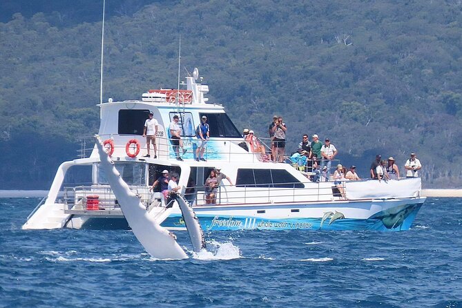 Freedom 3/4 Day Hervey Bay Premium Whale Watching Cruise - Morning tea while the boat heads for the whales