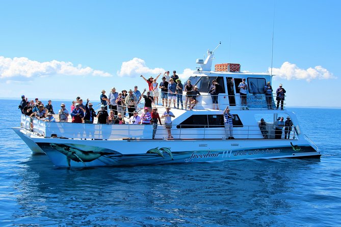 Freedom 3/4 Day Hervey Bay Premium Whale Watching Cruise - Leaving Great Sandy Strait Marina at 9:30 am