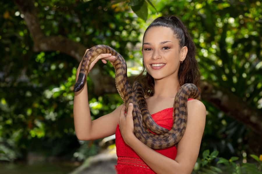 Friends in the Rainforest Package: Koala Gardens & Birdworld - Kuranda Koala Gardens and Australia’s famous animals