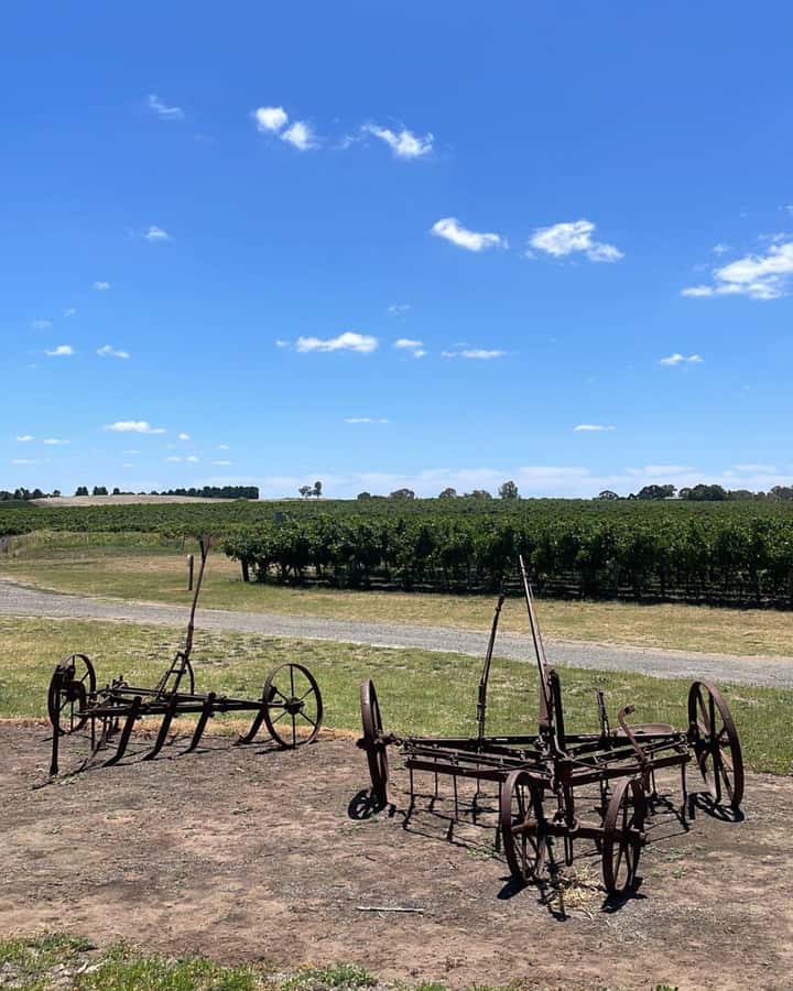 From Adelaide: Barossa to Hahndorf Wine Tasting and Lunch - Chateau Tanunda brings the grand winery setting