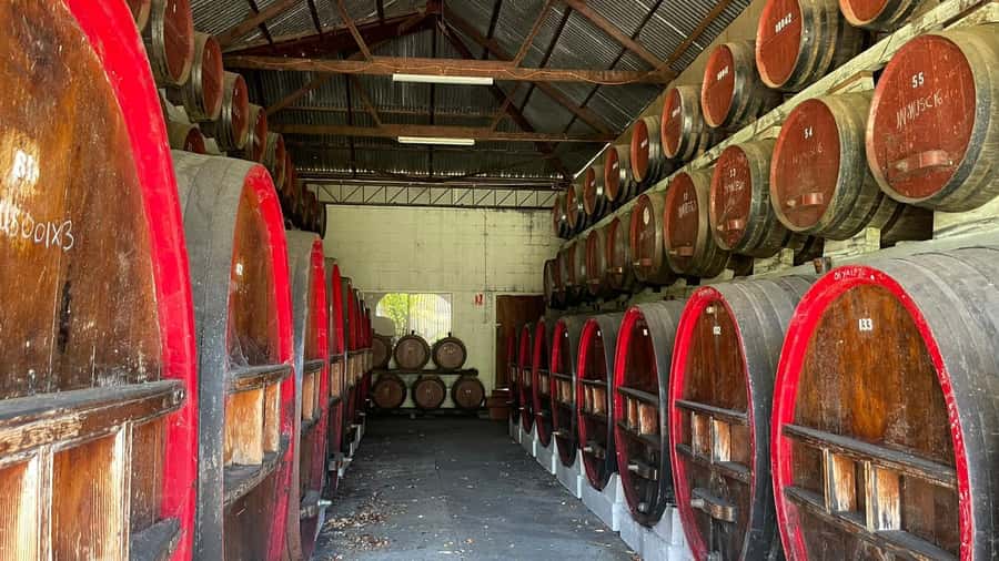 From Adelaide: Barossa to Hahndorf Wine Tasting and Lunch - Transport, group comfort, and the long day