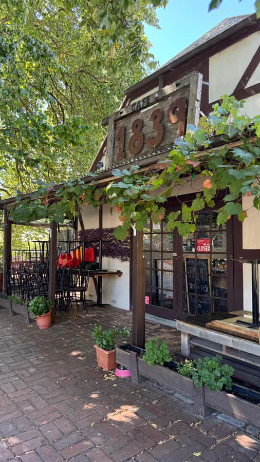 From Adelaide: Hahndorf and Barossa Day Tour with Lunch - Hahndorf: German character in a 75-minute stop