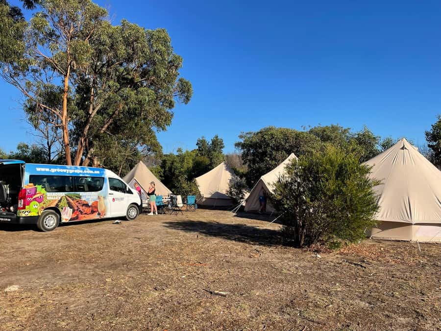 From Adelaide: Kangaroo Island Epic 2-Day Small Group Tour - Stokes Bay, Parndana, and a night under canvas