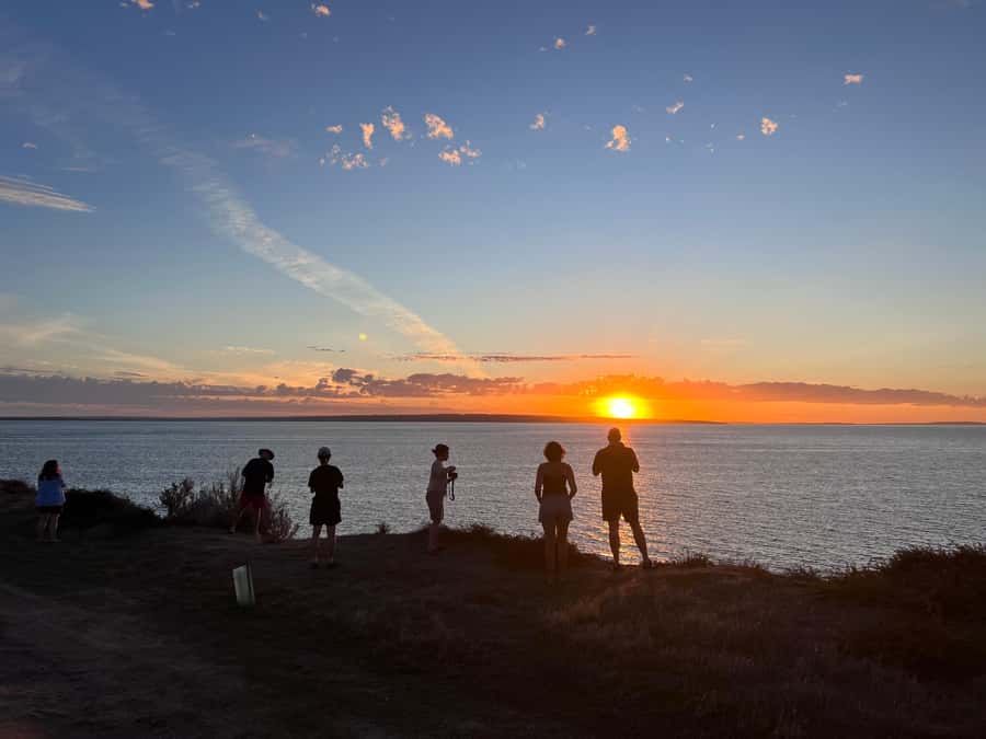 From Adelaide: Kangaroo Island Epic 2-Day Small Group Tour - Little Sahara and the final wildlife highlight at Seal Bay