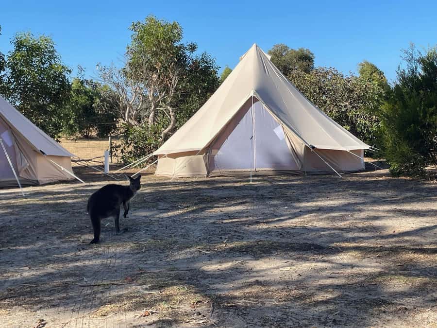 From Adelaide: Kangaroo Island Epic 2-Day Small Group Tour - Prospect Hill and quiet wildlife at Duck Lagoon