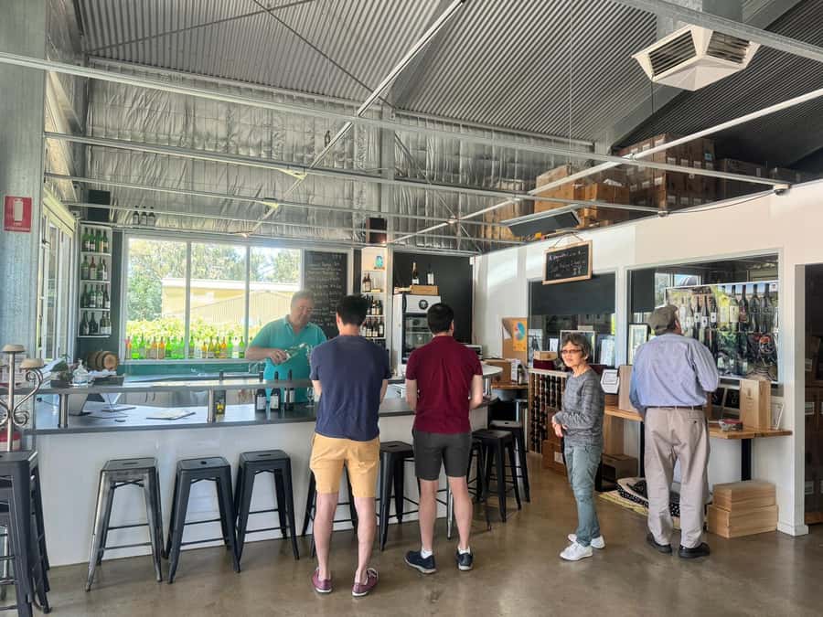 From Adelaide: McLaren Vale Wine Experience - Who will enjoy this McLaren Vale tour?