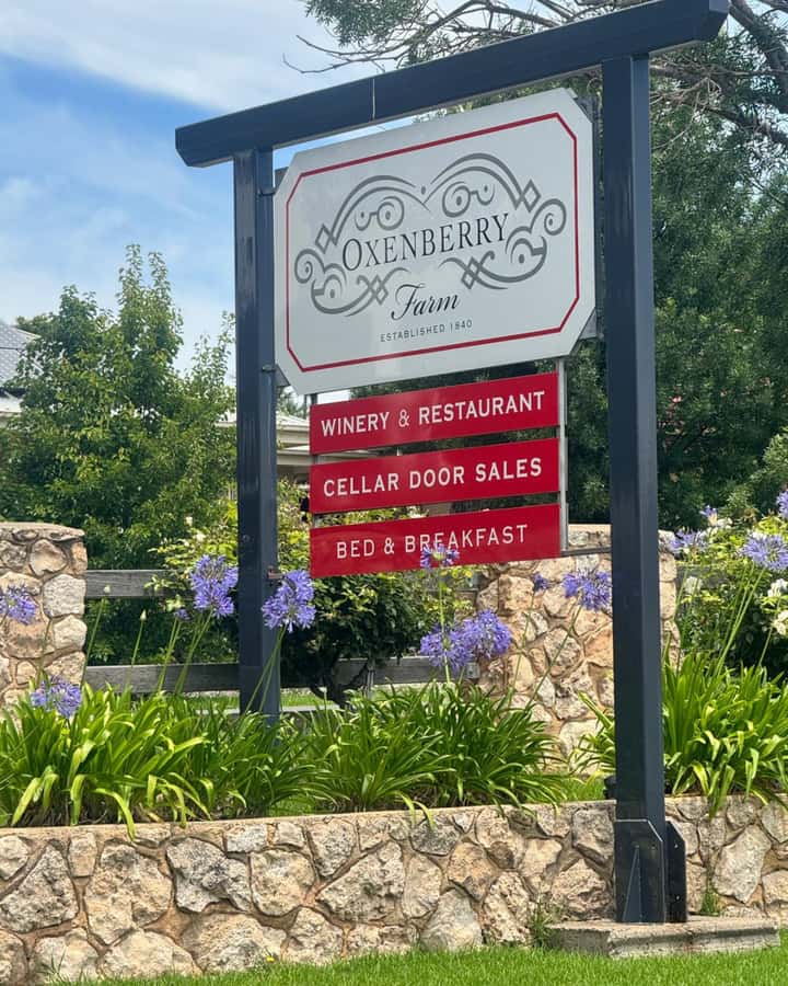From Adelaide: McLaren Vale Wine Experience - Hotel pickup and the eight-hour rhythm