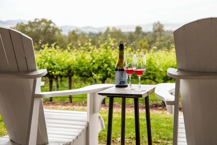 From Adelaide or Barossa: Boutique Barossa Valley Wine Tour - The afternoon choice: heavier reds, Eden Valley, or organic wine
