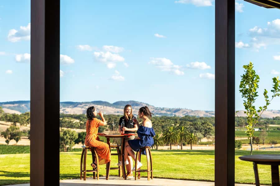 From Adelaide or Barossa: Boutique Barossa Valley Wine Tour - What the guide adds to the tastings