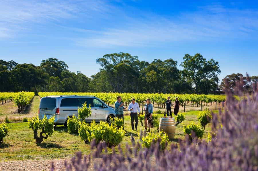 From Adelaide or Barossa: Boutique Barossa Valley Wine Tour - Who will enjoy this Barossa day most