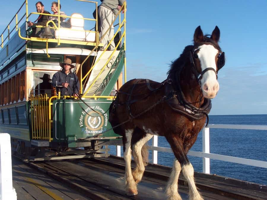 From Adelaide: Victor Harbor & Hahndorf Day Tour - The coast at Middleton Beach and Port Elliot
