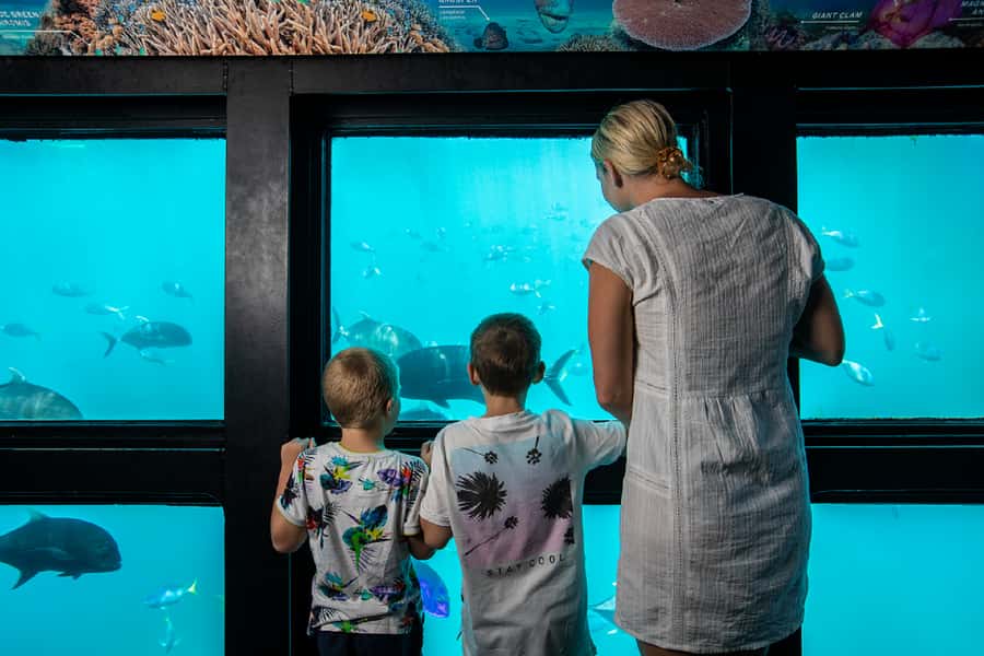 From Airlie Beach: Great Barrier Reef Adventure Cruise - The long run from Airlie Beach to Hardy Reef