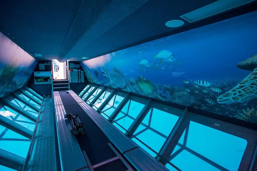 From Airlie Beach: Great Barrier Reef Adventure Cruise - Semi-submersible and underwater observatory for dry viewing