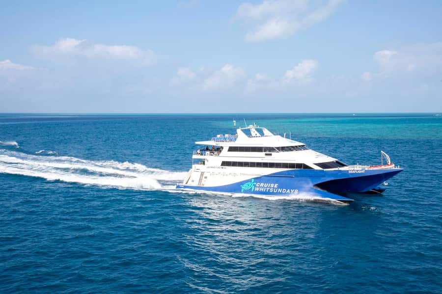 From Airlie Beach: Great Barrier Reef Adventure Cruise - Optional scuba sessions and guided snorkeling