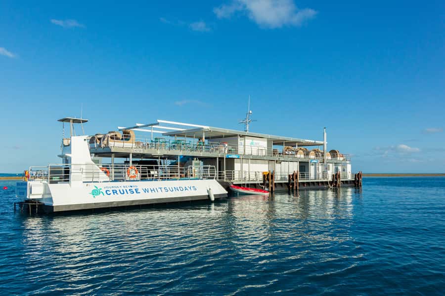 From Airlie Beach: Great Barrier Reef Adventure Cruise - Should you book this Great Barrier Reef cruise?