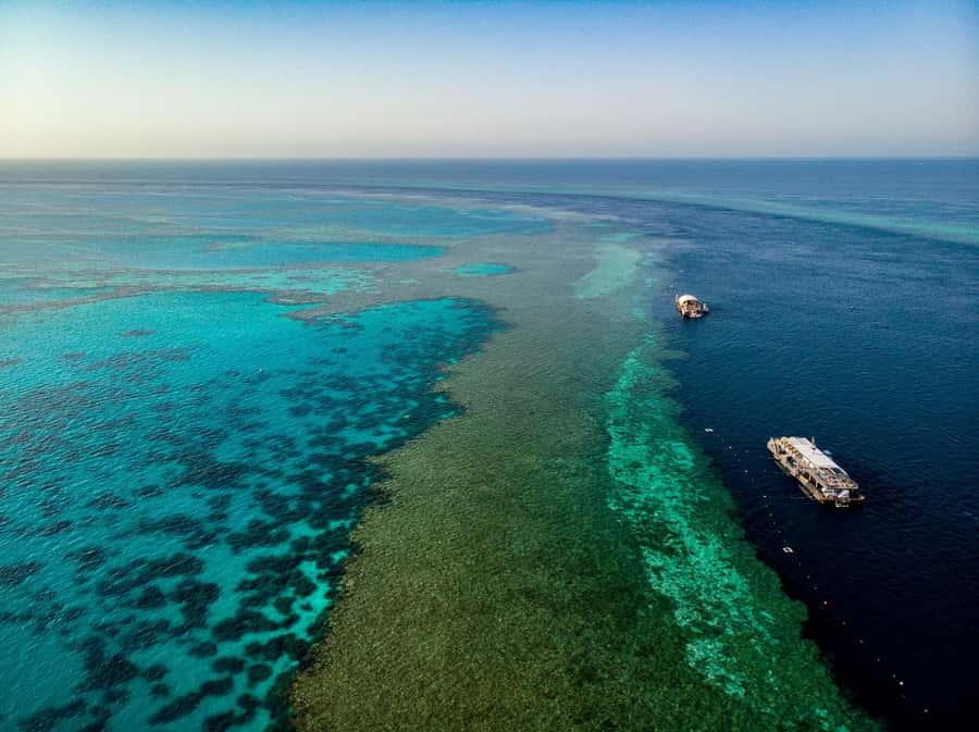 From Airlie Beach: Great Barrier Reef Adventure Cruise - Reefworld pontoon gives you room to choose