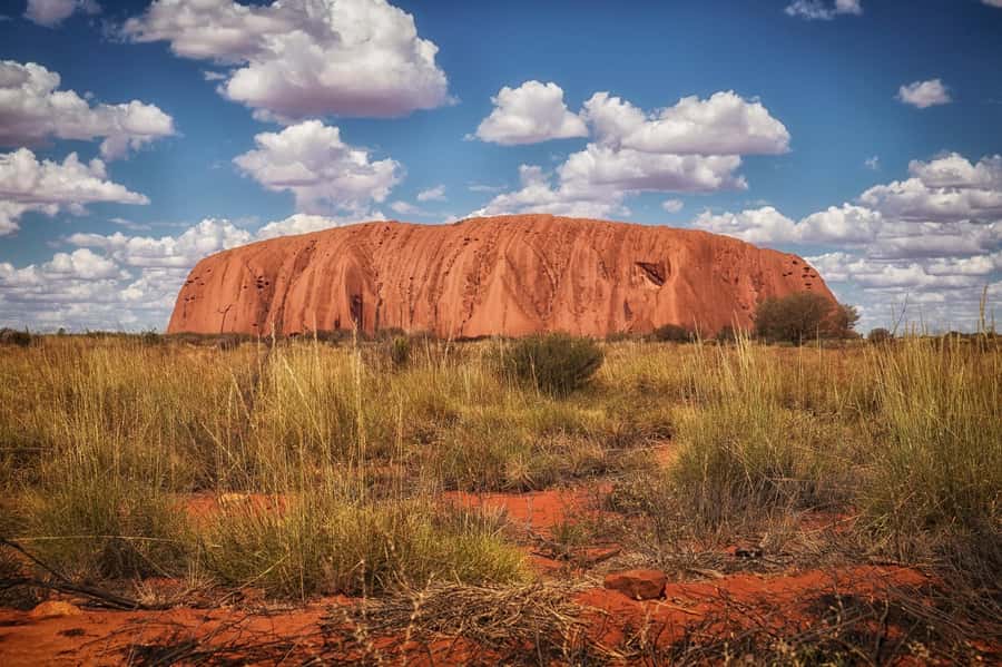 From Alice Springs: Day Trip to Uluru with BBQ Dinner - The honest cost of seeing Uluru from Alice Springs