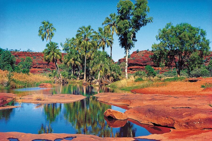 From Alice Springs: Palm Valley 4WD Outback Safari + Picnic - Key things to know before you book