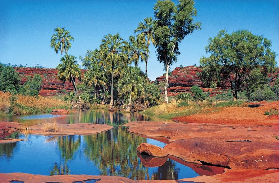 From Alice Springs: Palm Valley 4WD Outback Safari + Picnic - Why Palm Valley is worth the long ride