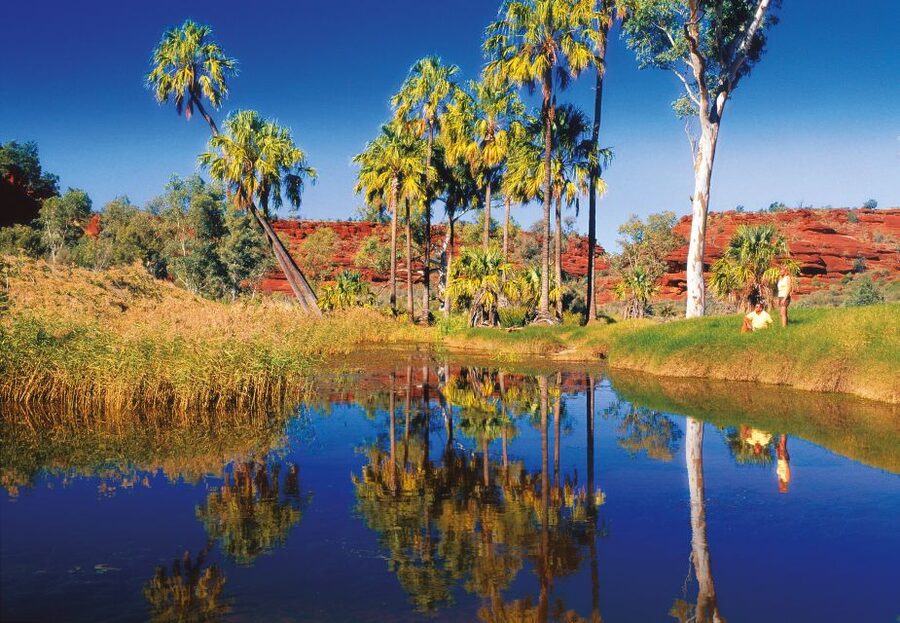 From Alice Springs: Palm Valley 4WD Outback Safari + Picnic - What the $171 price really covers