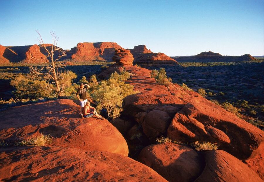 From Alice Springs: Palm Valley 4WD Outback Safari + Picnic - Who should take this Palm Valley tour?