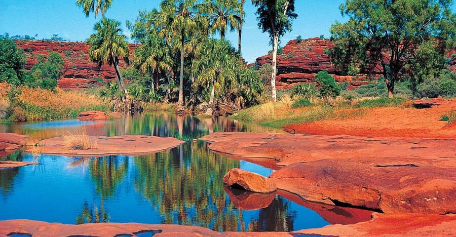 From Alice Springs: Palm Valley 4WD Outback Safari + Picnic - From Alice Springs to Hermannsburg