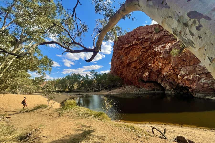 From Alice Springs/Yulara: 4-Day Red Centre 4WD Camping Tour - The guides make the difference