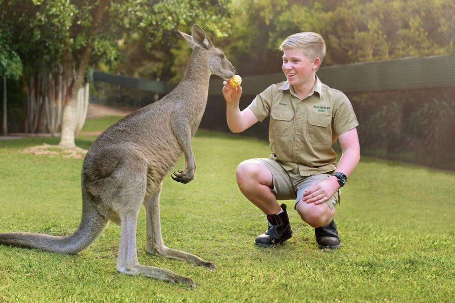 From Brisbane: Australia Zoo Ticket and Roundtrip Transfer - The morning coach and the road to Beerwah