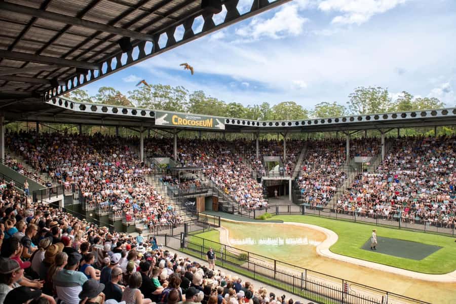 From Brisbane: Australia Zoo Transfer and Entry Ticket - Six hours to plan your own Australia Zoo day