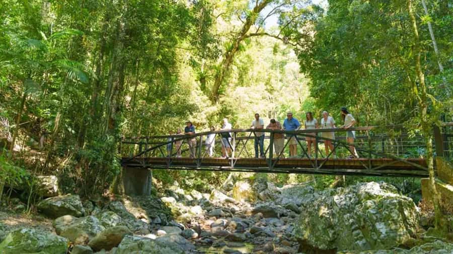 From Brisbane: Gold Coast Day Tour with Lunch - What the $183 price really covers