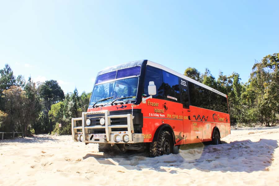 From Brisbane: Moreton Island Full-Day Trip - What the $126 price really covers