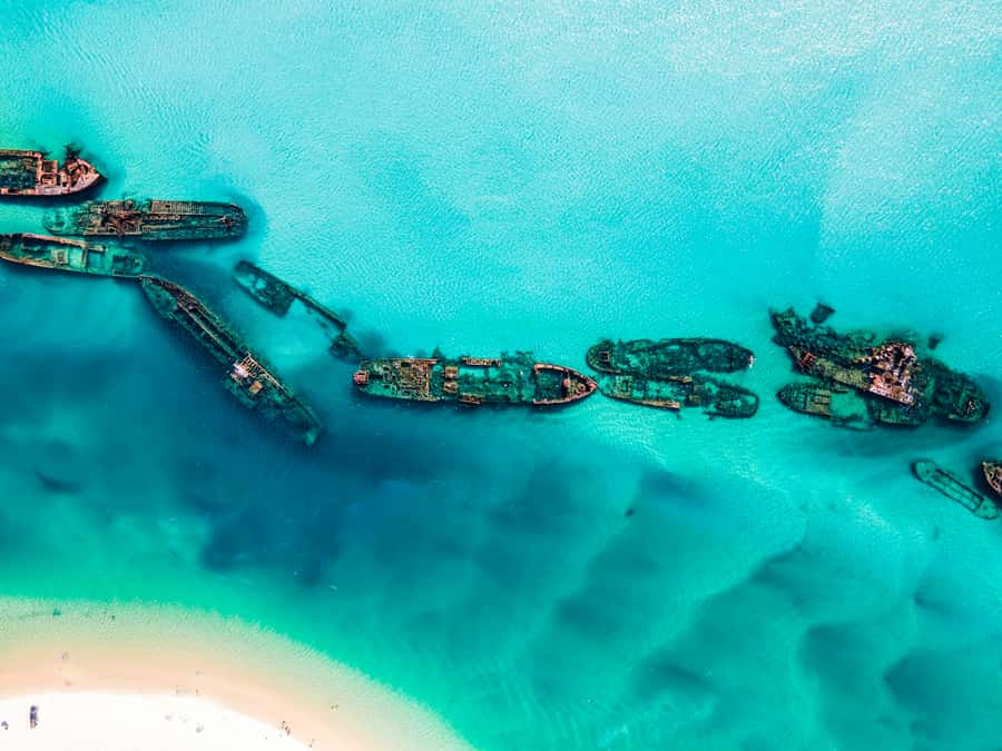 From Brisbane: Moreton Island Full-Day Trip - Transparent kayaking over clear water