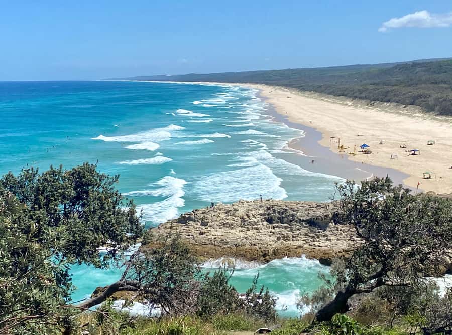 From Brisbane: North Stradbroke Island Wildlife Adventure - Key points at a glance