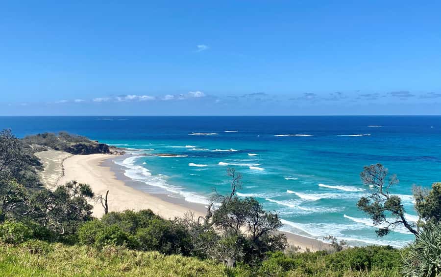 From Brisbane: North Stradbroke Island Wildlife Adventure - Why North Stradbroke Island works as a Brisbane day trip