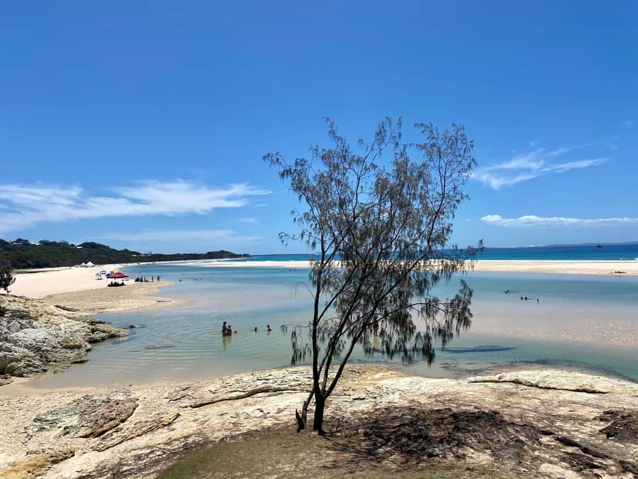 From Brisbane: North Stradbroke Island Wildlife Adventure - Myora Springs and the route to Cylinder Beach