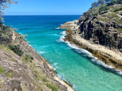 North Stradbroke Island Wildlife Adventure