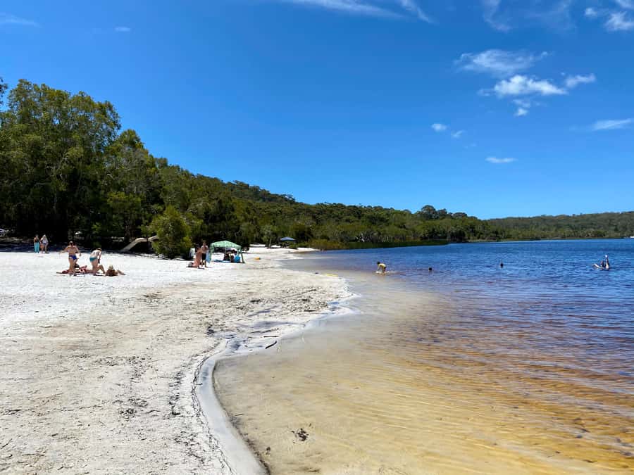From Brisbane: North Stradbroke Island Wildlife Adventure - Amity Point and the search for koalas