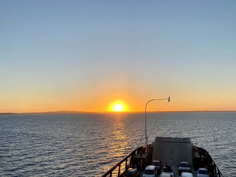 From Brisbane: North Stradbroke Island Wildlife Adventure - What the guides add to the experience