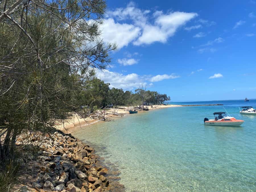 From Brisbane: North Stradbroke Island Wildlife Adventure - Is $105 good value?