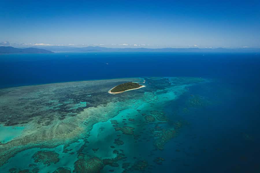 From Cairns: 2 Islands 1 day - Fitzroy & Green Islands - Fitzroy Island: rainforest trails beside the reef