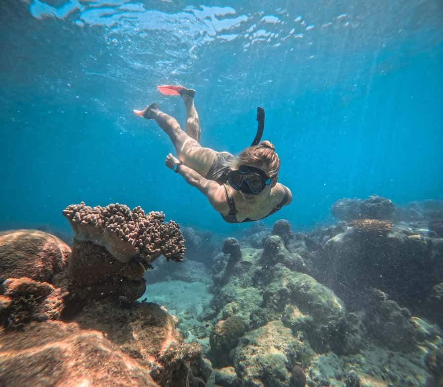 From Cairns: 2 Islands 1 day - Fitzroy & Green Islands - Leaving Cairns on the Big Cat catamaran