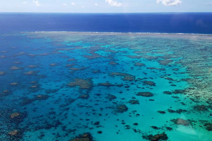 From Cairns: 40-Min Scenic Reef Window Seat Airplane Flight - Why the reef looks better from a high-wing plane