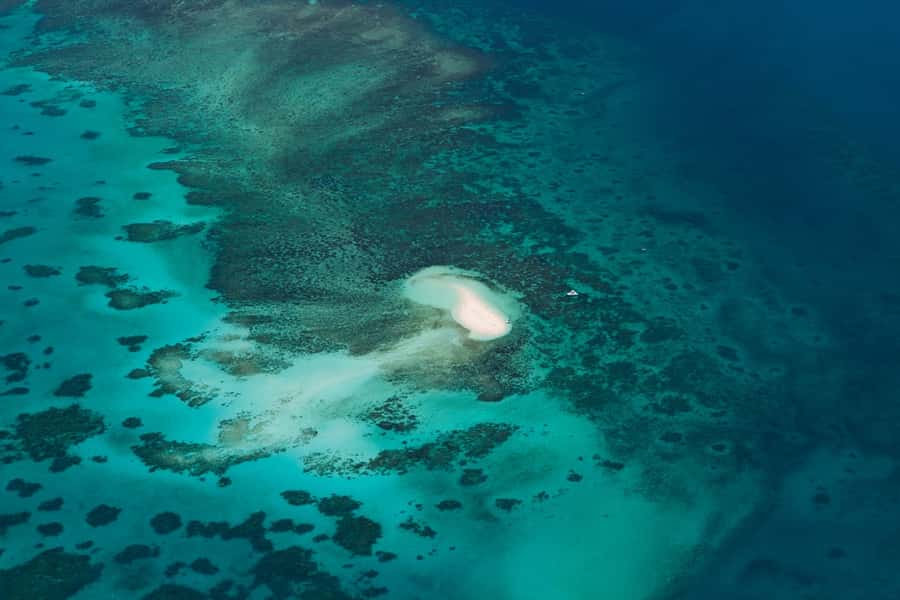 From Cairns: 40-Min Scenic Reef Window Seat Airplane Flight - Transfers, timing, and the airport details that matter