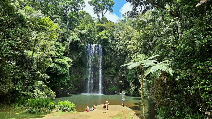 From Cairns: Atherton Tablelands and Paronella Park Day Trip - Key points at a glance